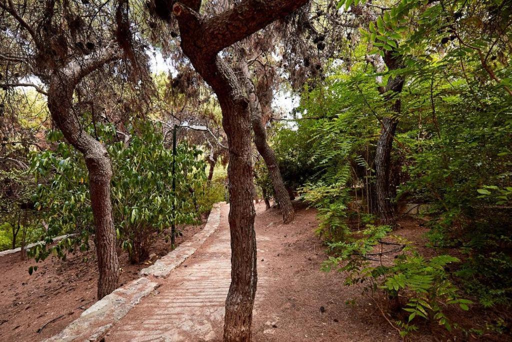 Myth1 Hike Around Kalimarmaron, Panathinaic Stadium And Big Alsos Park Apartment Атина Екстериор снимка